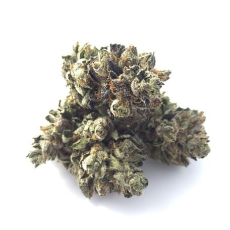 Wifi OG by Temple of Calyx